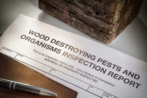What is a Termite Inspection